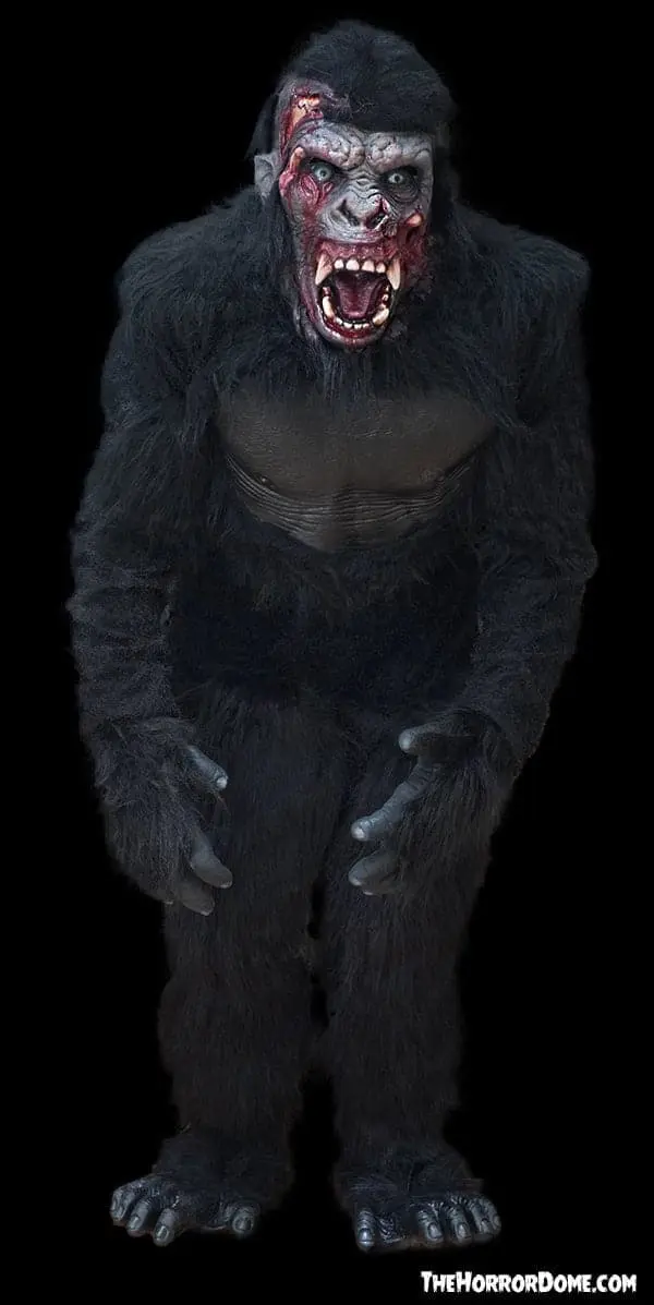 The Horror Dome "Zombie Gorilla" HD Studios Pro Costume 5 The Horror Dome "Zombie Gorilla" HD Studios Pro Costume - Image 3