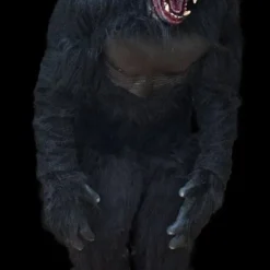 The Horror Dome "Zombie Gorilla" HD Studios Pro Costume 9 The Horror Dome "Zombie Gorilla" HD Studios Pro Costume -The Horror Dome Store zombie gorilla hd studios pro costume 29597220798512