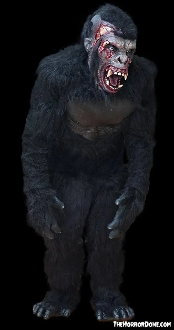 The Horror Dome "Zombie Gorilla" HD Studios Pro Costume 6 The Horror Dome "Zombie Gorilla" HD Studios Pro Costume - Image 4