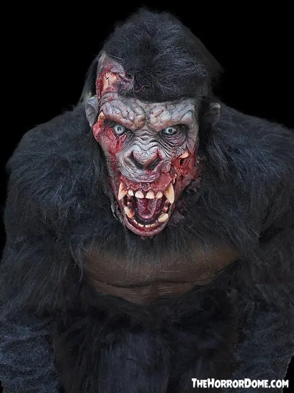 The Horror Dome "Zombie Gorilla" HD Studios Pro Costume 4 The Horror Dome "Zombie Gorilla" HD Studios Pro Costume - Image 2